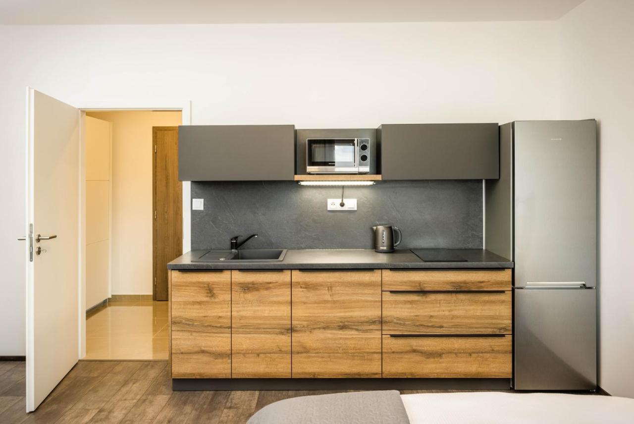 Apartmány Panelka Costa Plana Lipno Černá v Pošumaví Kültér fotó